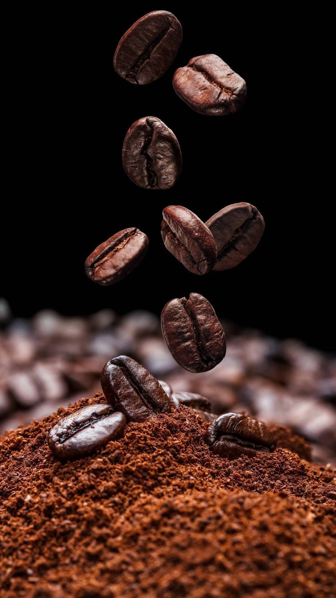 Premium Coffee at Wholesale Prices